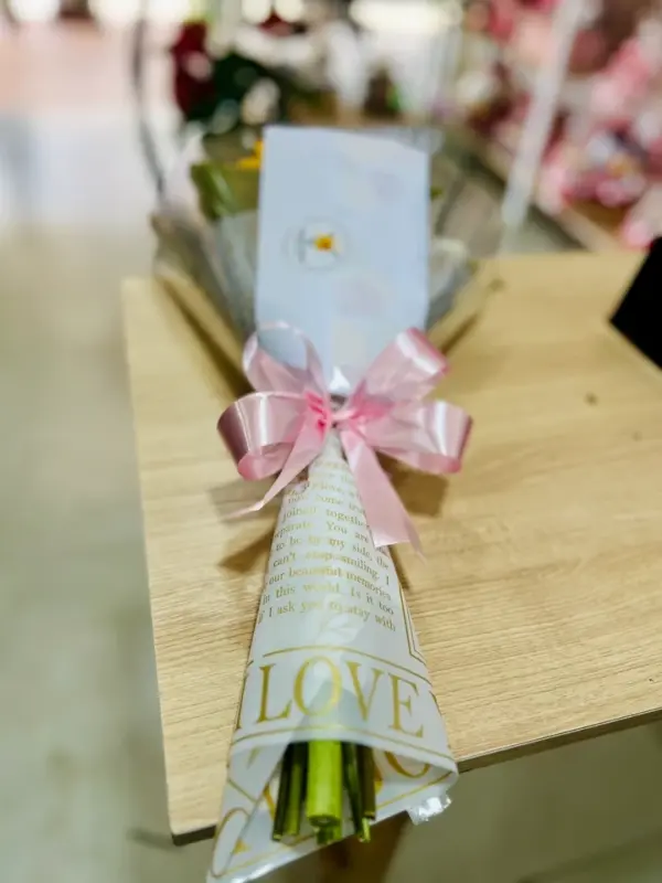 Girassol Solitário Jornal - Imagem 3