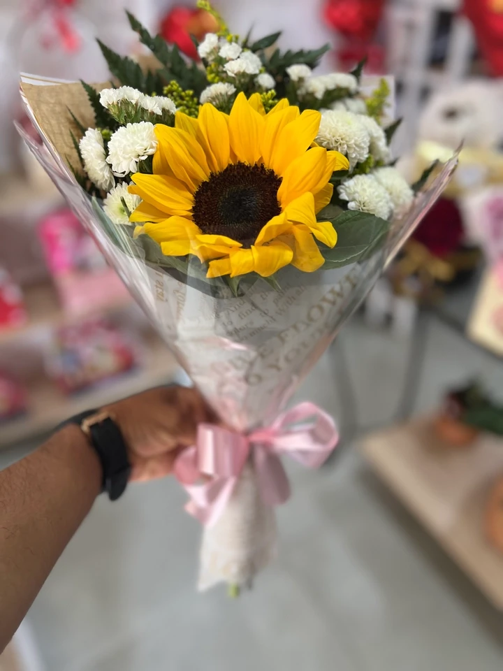 e1703d9af5bd788b3f370c5ea0d686dd Girassol Solitário Jornal - Imagem 1